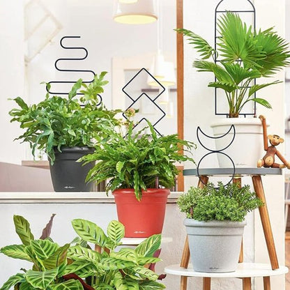 tuteur pour plantes grimpantes | Spacio - Élégant - 4 modèles différents