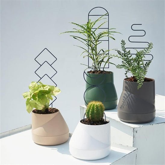 tuteur pour plantes grimpantes | Spacio - Élégant - différents modèles 
