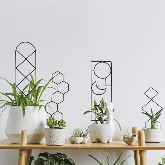 tuteur pour plantes grimpantes | Spacio - Élégant - Mon espace Jardinage