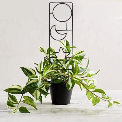 tuteur pour plantes grimpantes | Spacio - Élégant -mod`le  avec lune, soleil et étoile