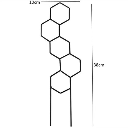 tuteur pour plantes grimpantes | Spacio - Élégant - style ruche d'abeille 38 cm de haut