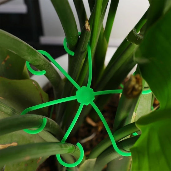 tuteurs plantes intérieures vert