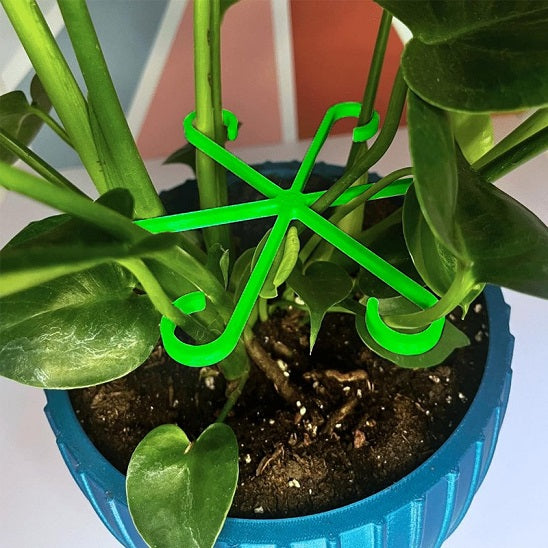 tuteurs plantes intérieures plantes grimpantes