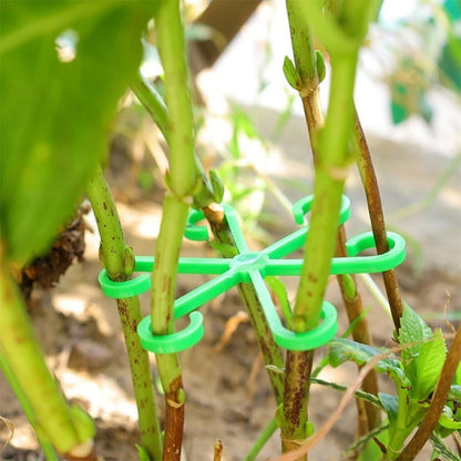 tuteurs plantes intérieures modèle vert 