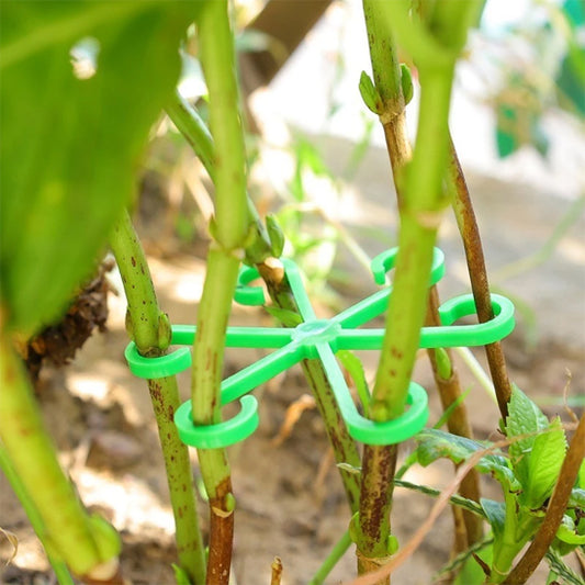 tuteurs plantes intérieures modèle vert 