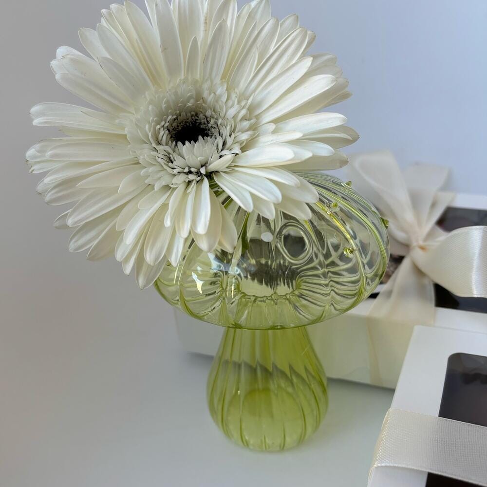 Vase en Verre - NordicMushroomVase™ - utilisé avec une marguerite - Mon espace Jardinage