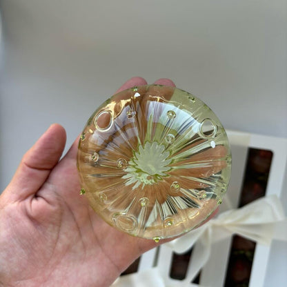 Vase en Verre - NordicMushroomVase™ - vue du dessus - Mon espace Jardinage