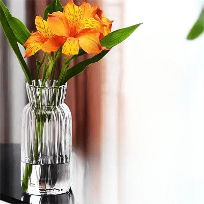 Vase en verre transparent - CreativeGlassVase™ - Style B - Mon espace Jardinage