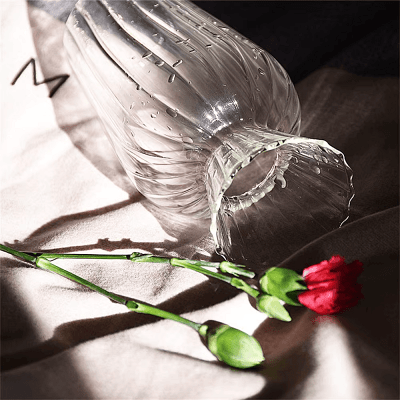 Vase en verre transparent - CreativeGlassVase™ - Style C - Mon espace Jardinage